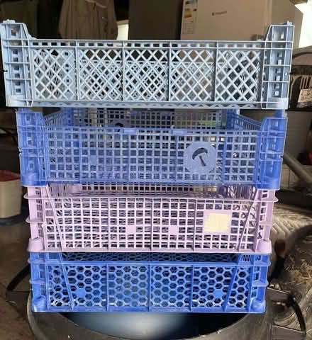 Photo of free Stacking plastic rectangular trays 40 x 30cm (West Bergholt CO6) #1