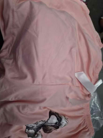 Photo of free Pj short pants (Little Carleton FY3) #1