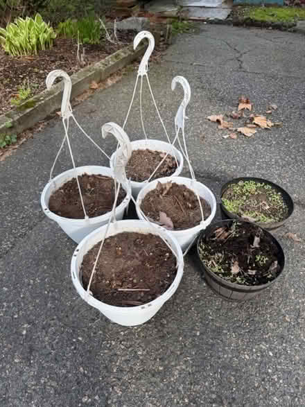 Photo of free Flowerpots (Watertown Square) #1