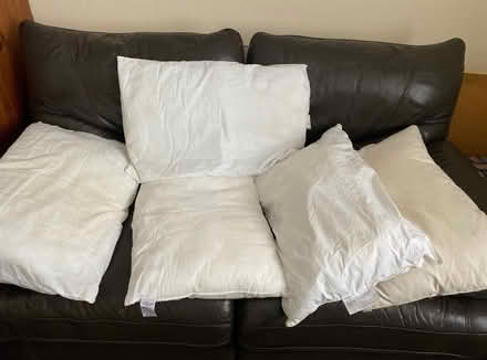 Photo of free DOG/CAT BEDDING 5 Pillows (Wormbridge HR2) #2
