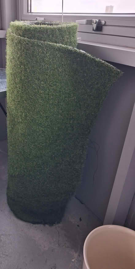 Photo of free Roll of artificial grass (Park Central B5) #1