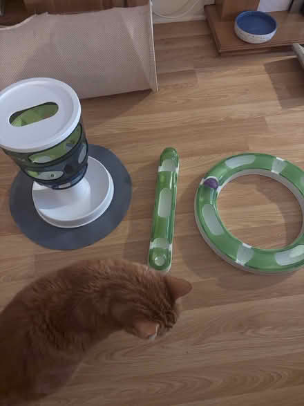 Photo of free Cat slow feeder and modular cat toy (York) #1