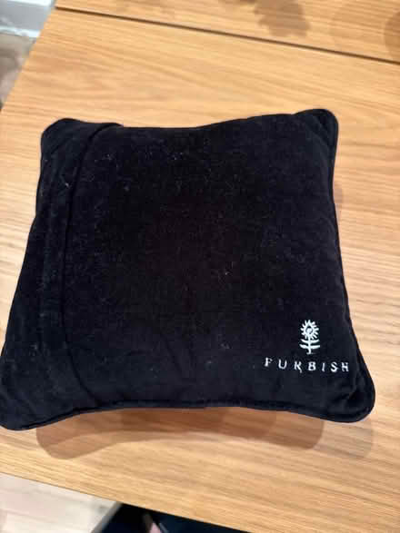Photo of free Taylor swift pillow (Flatiron) #2