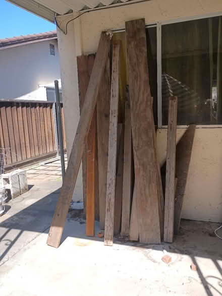 Photo of free Wood (Birdland) #1