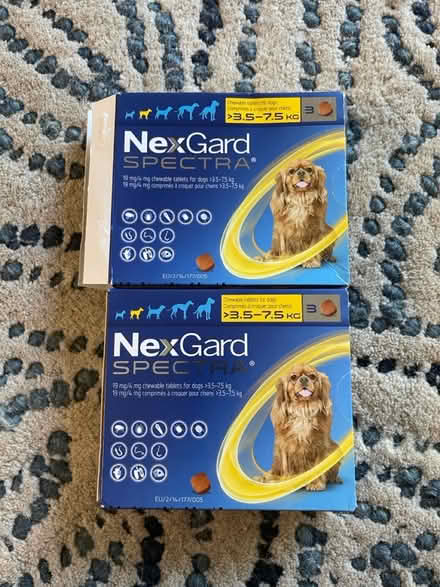 Photo of free nexgard spectra for small dogs (san jose west) #1