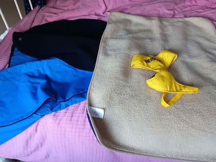 Photo of free Items for dog (Bromham MK43) #3