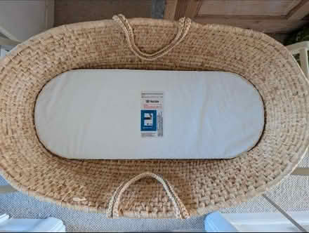 Photo of free Mosses basket and stand (BR1) #2