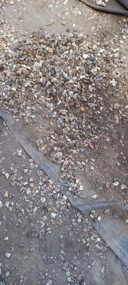 Photo of free Bags of 20mm shingle (Ashton Green BN8) #2