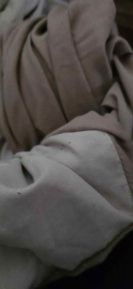 Photo of free Assorted Bedding • Used (Clapham Common) #3