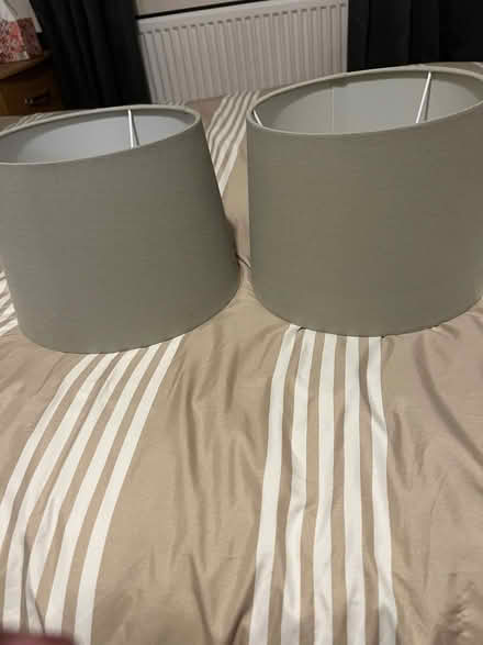 Photo of free Grey lamp or ceiling shades with spaces (Knotty Ash L14) #1