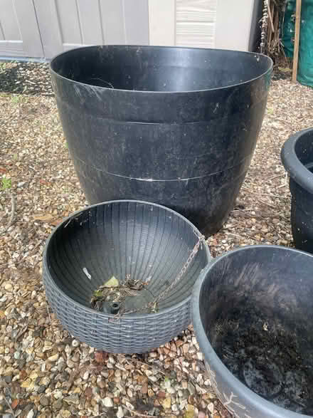 Photo of free Plant pots (Garston WD25) #2
