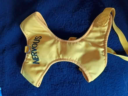 Photo of free Items for dog (Bromham MK43) #2