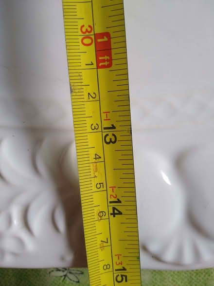 Photo of free Big plate, meat, turkey (Denton DA12) #3
