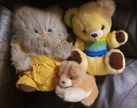 Photo of free 3 soft toys (Blackbird Leys OX4) #1
