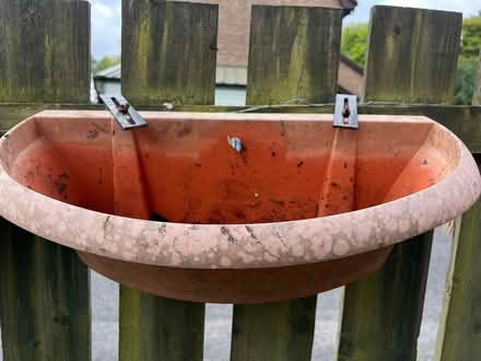 Photo of free Three plastic planters (Livingston EH54) #1