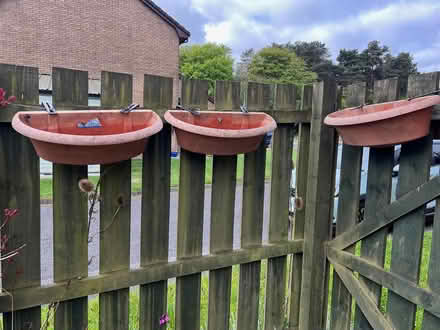 Photo of free Three plastic planters (Livingston EH54) #2