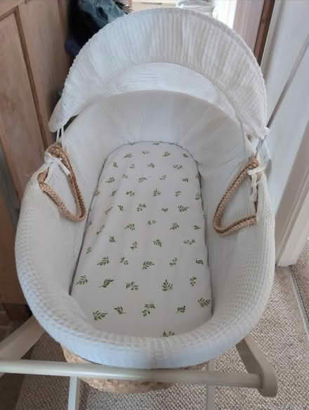 Photo of free Mosses basket and stand (BR1) #1