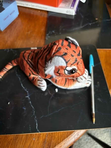 Photo of free Small cuddly tiger (BS3 bedminster) #1
