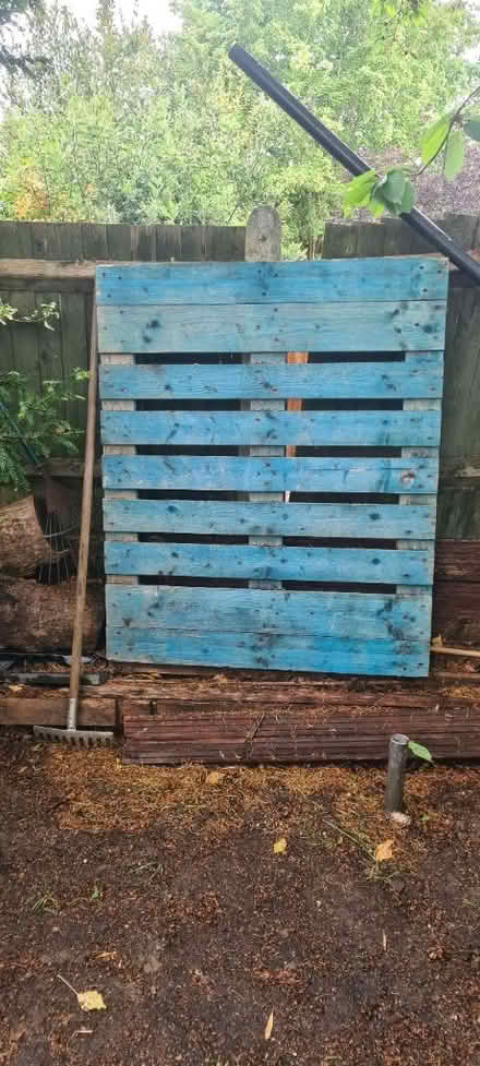 Photo of free Blue palate (Rochester ME1) #1