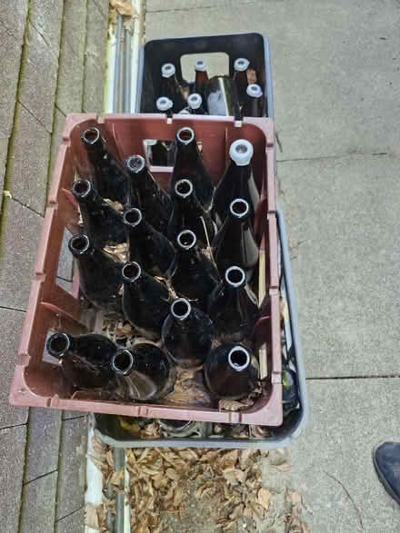 Photo of free 1 pint Beer bottles (Colwall Stone WR13) #1