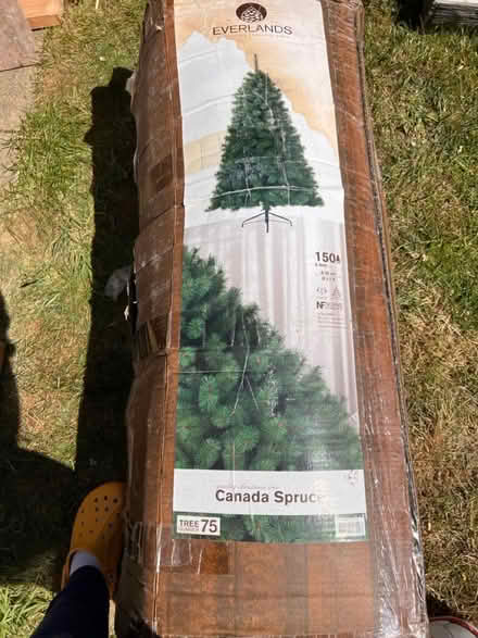 Photo of free Christmas Tree (Lacey Green, HP27) #2