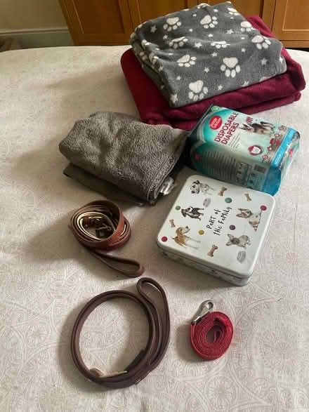 Photo of free Dog blankets, towel + other goods (SE20) #1