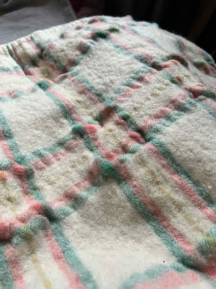 Photo of free Welsh wool blanket (North fort st EH6) #2