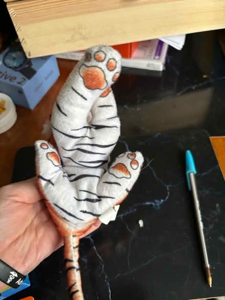 Photo of free Small cuddly tiger (BS3 bedminster) #3