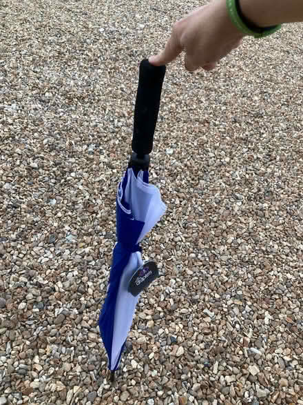 Photo of free Large white-blue umbrella (St Ives PE27) #1