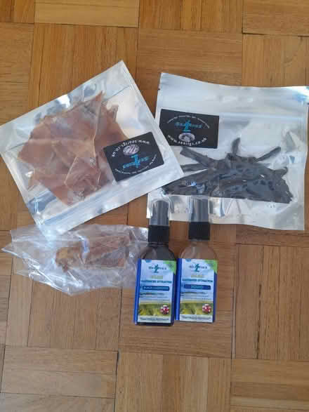 Photo of free Sea fishing bait (Pagham PO21) #1