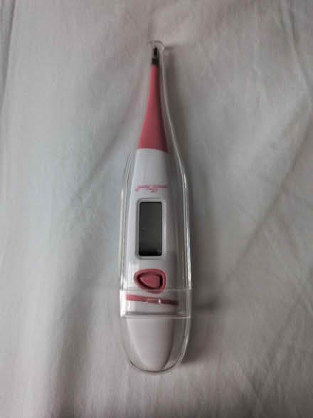 Photo of free body thermometer (Beeston NG9) #1