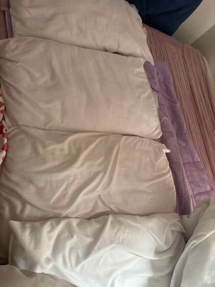Photo of free 4 pillows no stain and a duvet (E11) #1