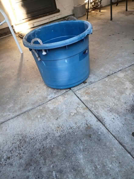 Photo of free Large Bucket (Birdland) #1