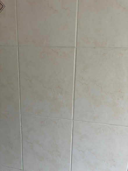 Photo of free Villeroy & Boch bathroom cream wall tiles (North Ascot SL5) #2