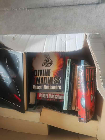 Photo of free Books, books and more books (Rathfarnham) #1