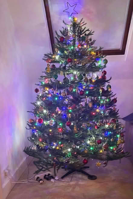 Photo of free Puleo Tree Co. 6ft High Quality Artificial Christmas Tree – (Winchmore Hill N21) #1
