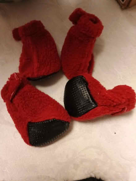 Photo of free 3 sets of winter dog boots (Charlottesville, Near Pen Park) #3