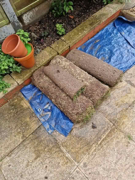 Photo of free 2 and a half pieces of turf (Up Hatherley GL51) #1
