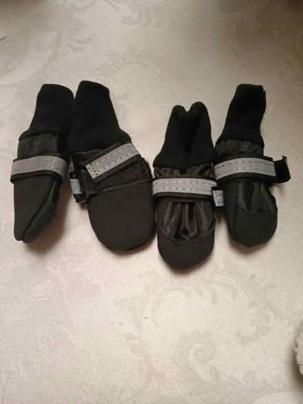 Photo of free 3 sets of winter dog boots (Charlottesville, Near Pen Park) #1