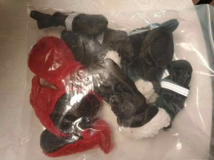 Photo of free 3 sets of winter dog boots (Charlottesville, Near Pen Park) #4
