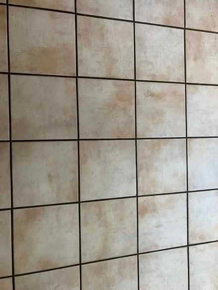 Photo of free Monocibec Floor tiles (North Ascot SL5) #2