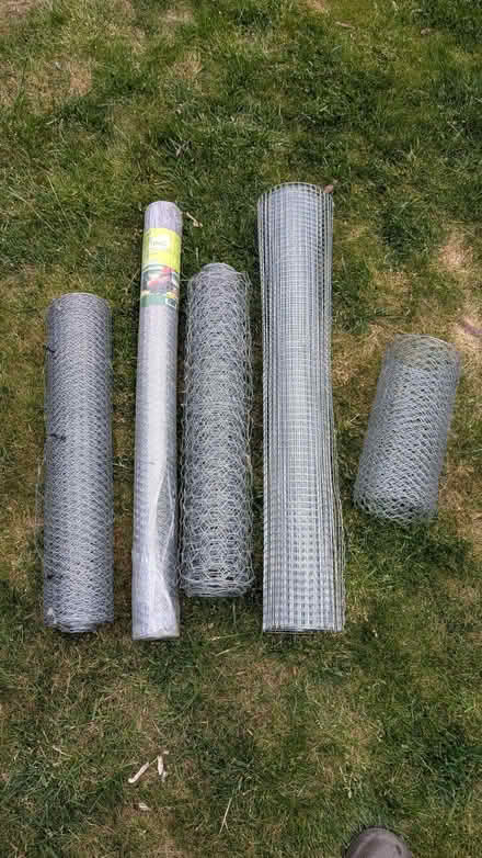 Photo of free Wire Netting (Strawberry Hill TW1) #1