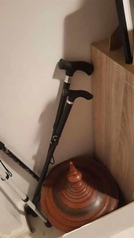 Photo of free 2 walking sticks (N7 9fn7) #1