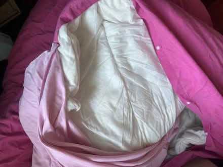 Photo of free Double synthetic duvet (North fort st EH6) #2