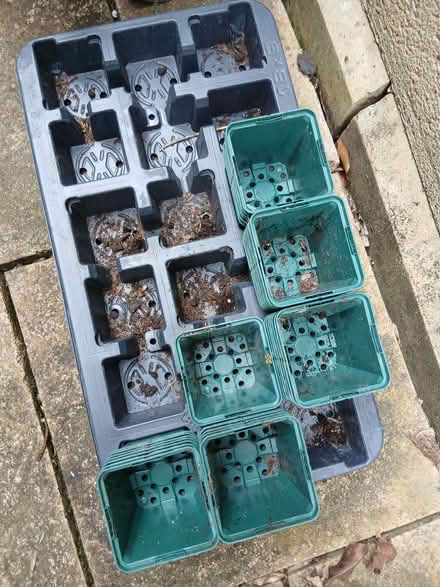 Photo of free Plant Pots (Bear Flat BA2) #1