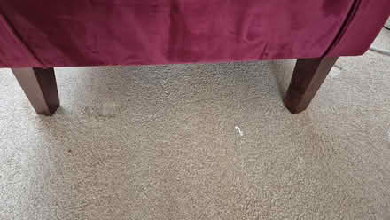 Photo of free Burgundy armchair (Abington NN3) #2