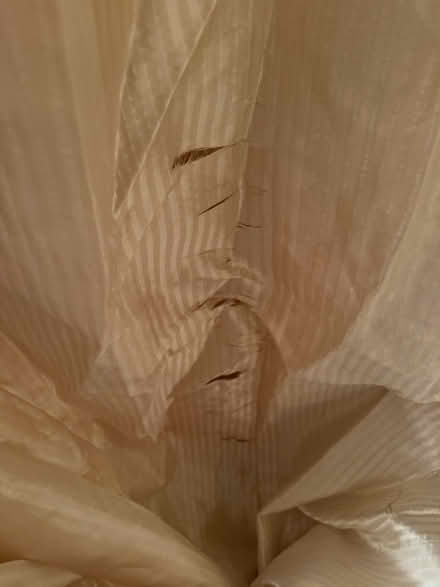 Photo of free Gold custom drapes (Campbell) #3