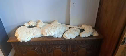Photo of free Blobs of expanding foam (Benfield Valley BN41) #1