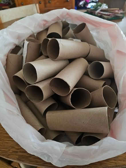 Photo of free Cardboard Toilet paper rolls (Friendswood) #1
