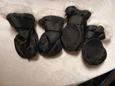 Photo of free 3 sets of winter dog boots (Charlottesville, Near Pen Park) #2